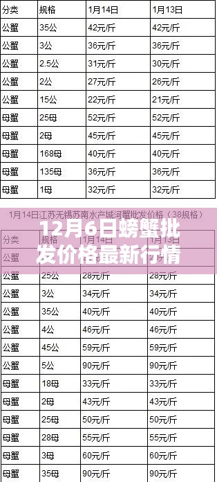 12月6日螃蟹批發(fā)價(jià)格最新行情，12月6日螃蟹批發(fā)價(jià)格最新行情詳解，入門指南與關(guān)鍵步驟