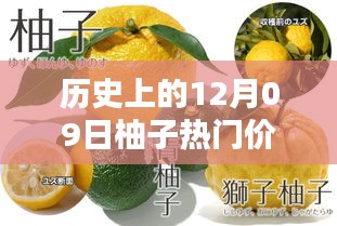 揭秘柚子歷史價格，柚子價格查詢全攻略（適合初學者與進階用戶）