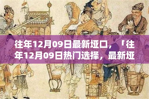 往年12月09日最新埡口產(chǎn)品評(píng)測(cè)與介紹，熱門選擇詳解