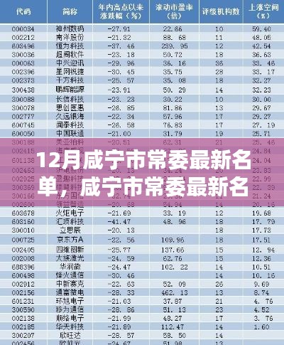 12月咸寧市常委最新名單，咸寧市常委最新名單科技新品亮相，智能時代，革新未來體驗