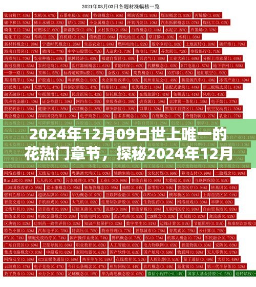 探秘世上唯一的花，揭秘熱門章節(jié)三大要點（日期，2024年12月09日）