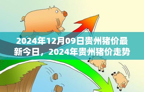 2024年貴州豬價(jià)走勢(shì)分析與深度探討，最新今日豬價(jià)及未來(lái)趨勢(shì)