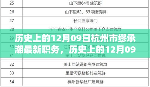 杭州市繆承潮新任職務(wù)深度解析，職責(zé)特點、用戶體驗與競品對比