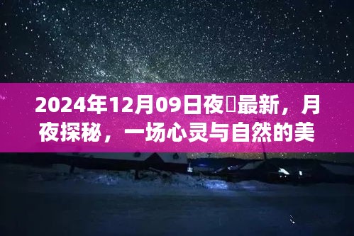 月夜探秘，心靈與自然的邂逅——記2024年12月09日夜廻之旅