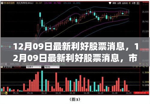 12月09日最新利好股票消息匯總，市場走勢分析與投資熱點(diǎn)前瞻