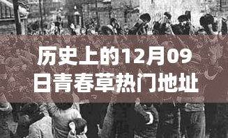 探尋青春草熱門地址背后的文化現(xiàn)象與青春記憶，歷史視角下的12月09日回顧