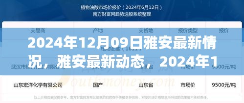 雅安最新動態(tài)深度觀察，2024年12月09日最新情況報告