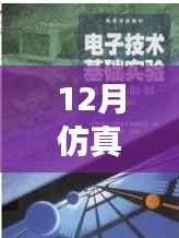 仿真之路，實時啟航，迎接自信與成就感的魔法時刻——十二月仿真需求解析