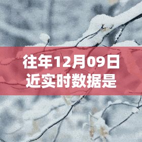 往年12月9日數(shù)據(jù)的魔法，溫馨回憶中的實時時光