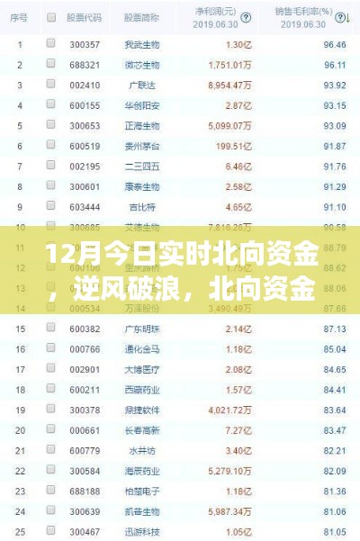 北向資金啟示下的成長(zhǎng)奇跡，12月實(shí)時(shí)洞察，自信成就夢(mèng)想之旅