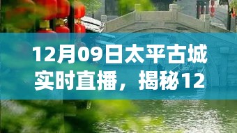 揭秘太平古城直播日，巷弄深處的獨(dú)特小店與探秘之旅