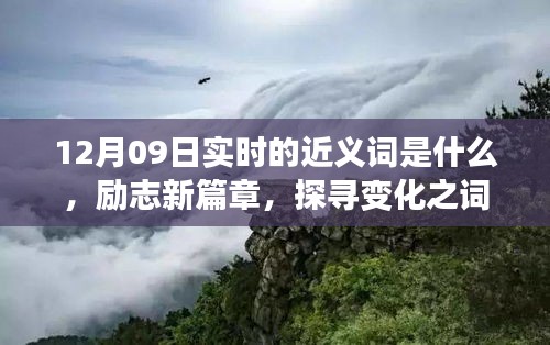 12月09日實(shí)時(shí)近義詞探索與勵(lì)志新篇章，探尋詞匯魔力，學(xué)習(xí)鑄就自信成就之橋