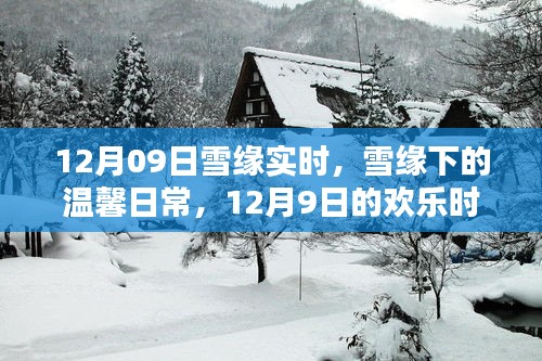 雪緣下的溫馨日常，12月9日的歡樂時(shí)光