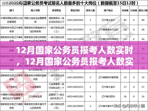 12月國(guó)家公務(wù)員報(bào)考人數(shù)實(shí)時(shí)分析與趨勢(shì)探討，數(shù)據(jù)、策略一覽