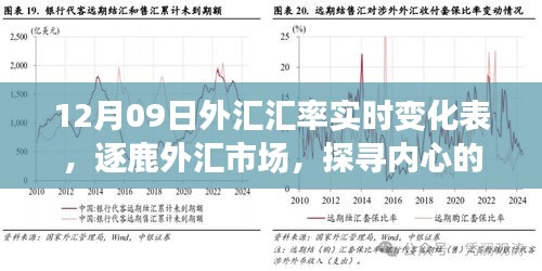 揭秘外匯市場(chǎng)風(fēng)云變幻，探尋匯率背后的故事——12月09日外匯匯率實(shí)時(shí)變化表解析