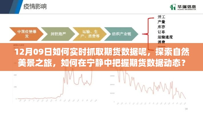 探索自然美景之旅與實時抓取期貨數(shù)據(jù)，寧靜中的動態(tài)把握策略