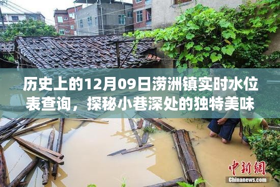 探秘澇洲鎮(zhèn)，歷史水位變遷中的小巷美食記憶——實時水位表查詢與獨特美味探秘