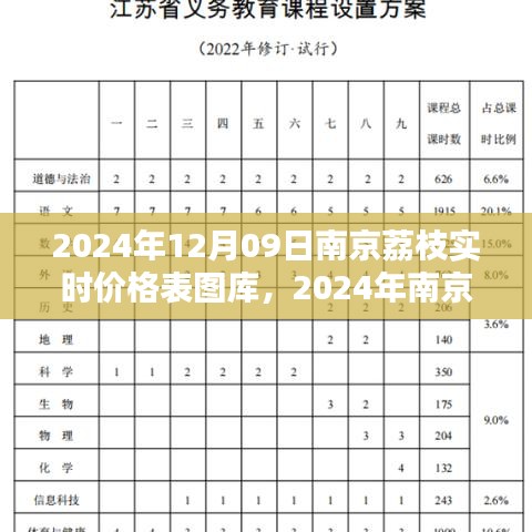 2024年南京荔枝實(shí)時(shí)價(jià)格表圖庫制作指南，從初學(xué)者到進(jìn)階用戶全攻略