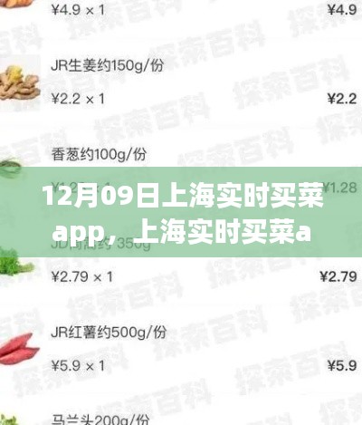 上海實(shí)時買菜app使用指南，從初學(xué)者到進(jìn)階用戶的全方位指南（12月09日版）