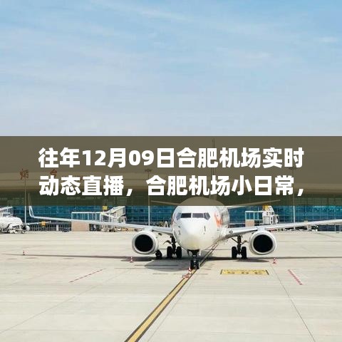 云端下的溫馨相遇，合肥機(jī)場12月9日實時動態(tài)直播小日常