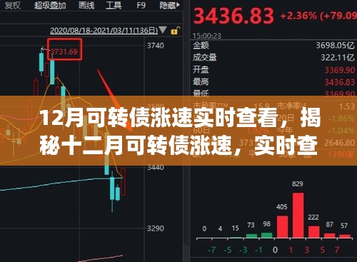 揭秘十二月可轉(zhuǎn)債漲速，實時查看與深度解讀報告