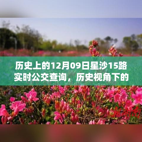 歷史視角下的星沙公交發(fā)展，星沙公交查詢系統(tǒng)深度探討與實(shí)時(shí)公交查詢服務(wù)解析（附，歷史上的星沙公交變遷）