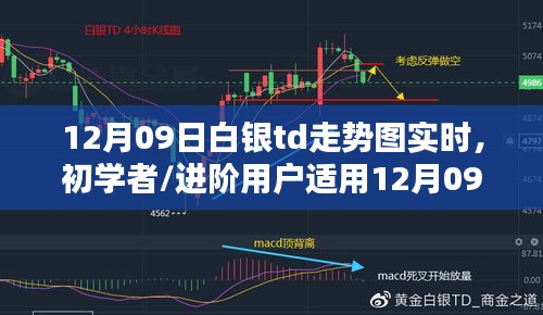 12月09日白銀TD走勢圖實時分析指南，適合初學者與進階用戶