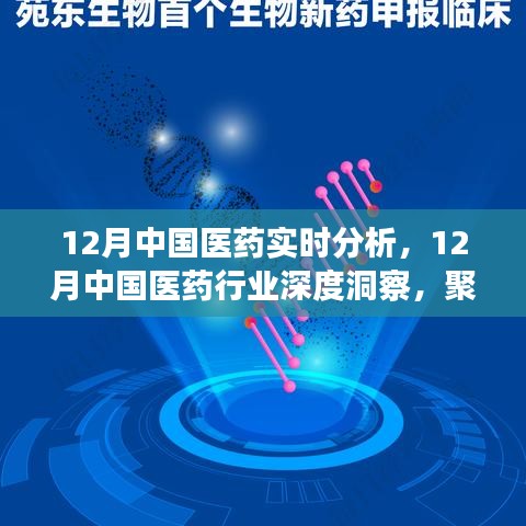 聚焦實(shí)時(shí)分析，探尋中國醫(yī)藥行業(yè)深度洞察與發(fā)展之路