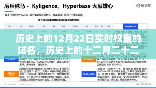 探尋實(shí)時(shí)權(quán)重域名，歷史上的十二月二十二日回顧與揭秘