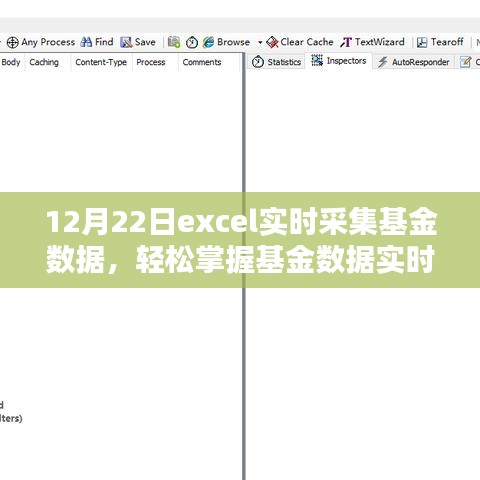 Excel基金數(shù)據(jù)實時采集進階，掌握實時動態(tài)，輕松管理投資組合（12月22日）