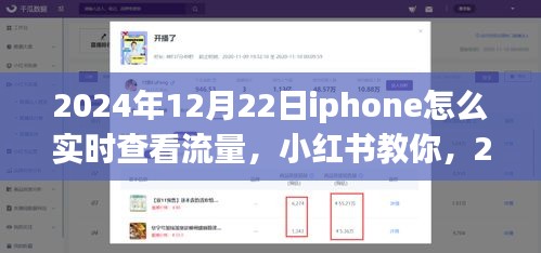 2024年12月22日iPhone實(shí)時(shí)查看流量教程，小紅書(shū)教你如何輕松監(jiān)控流量消耗