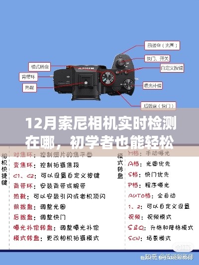 初學者也能輕松掌握！12月索尼相機實時檢測功能使用指南