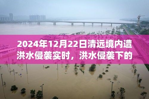 洪水侵襲下的清遠(yuǎn)秘境，美食奇遇與實時報道