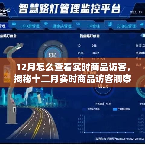 揭秘十二月實時商品訪客洞察，洞悉訪客動態(tài)與商業(yè)進(jìn)展的秘訣