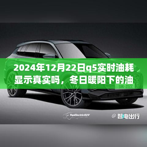 冬日暖陽下的真相探尋，2024年Q5實時油耗顯示的可信度與友情之旅