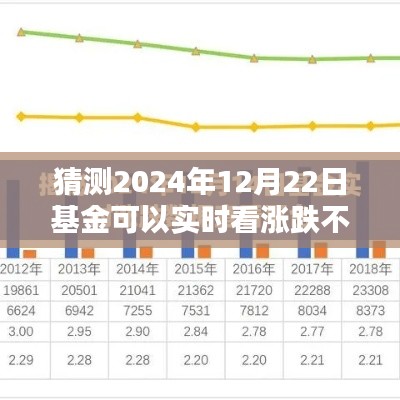 2024年12月22日基金實時漲跌預測攻略，掌握未來走勢，初學者與進階用戶必讀