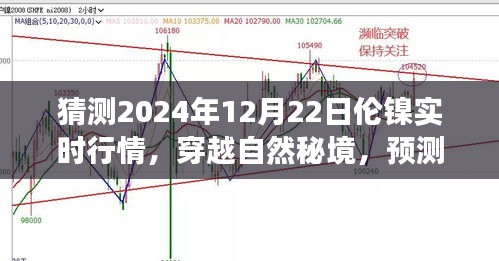 倫鎳行情預測與心靈之旅，穿越自然秘境，探索2024年倫鎳實時行情的奇妙交織