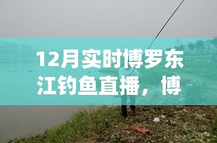 博羅東江畔的釣魚盛宴，12月實時釣魚直播開啟！