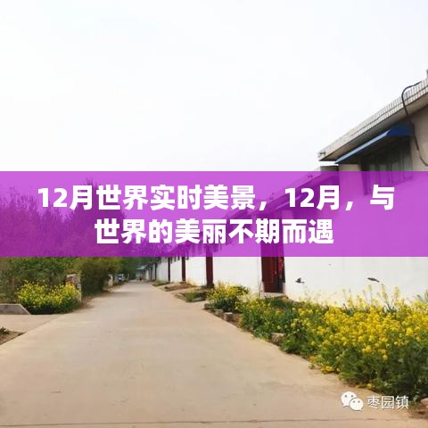 12月世界美景盡收眼底，與全球美麗的不期之約