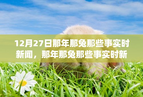 那年那兔時(shí)事新聞追蹤解讀指南，從初學(xué)者到進(jìn)階用戶的步驟指南