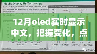 12月OLED中文實(shí)時(shí)顯示，把握變化，點(diǎn)亮未來——展現(xiàn)你的中文魅力