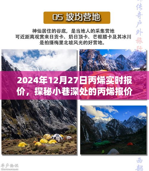 探秘丙烯報價秘境，揭秘2024年12月27日丙烯實時行情與報價深度解析