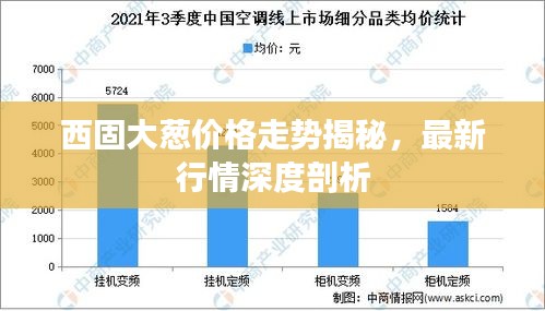 西固大蔥價(jià)格走勢(shì)揭秘，最新行情深度剖析