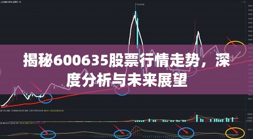 揭秘600635股票行情走勢(shì)，深度分析與未來(lái)展望