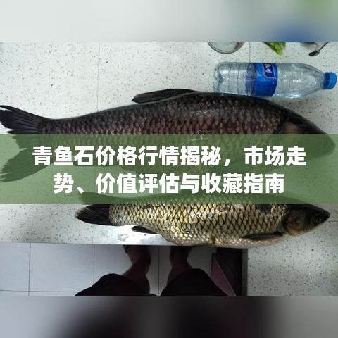 青魚石價格行情揭秘，市場走勢、價值評估與收藏指南