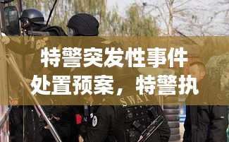 特警突發(fā)性事件處置預(yù)案，特警執(zhí)勤突發(fā)事件視頻 