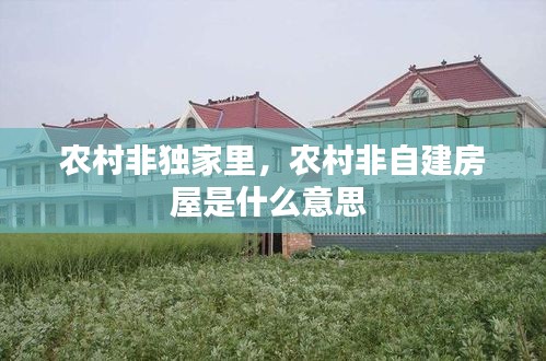 農村非獨家里，農村非自建房屋是什么意思 