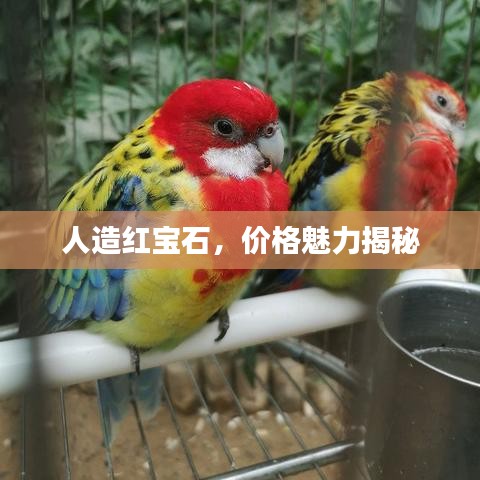 人造紅寶石，價格魅力揭秘