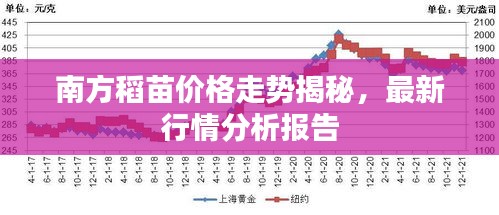 南方稻苗價格走勢揭秘，最新行情分析報告