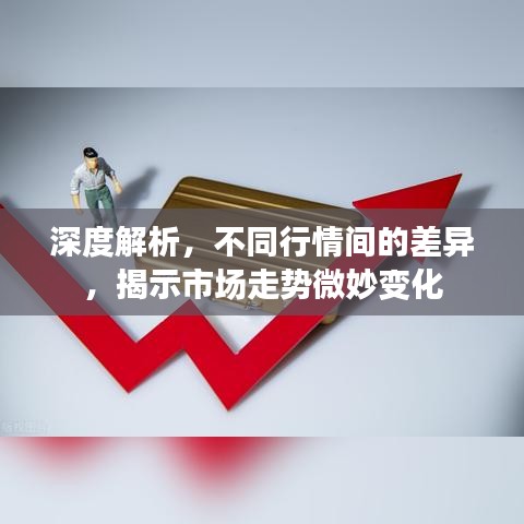 深度解析，不同行情間的差異，揭示市場走勢微妙變化